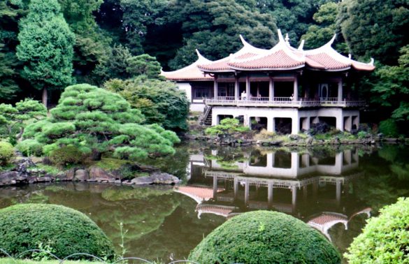 Shinjuku Gyoen – tapety na pulpit (2)