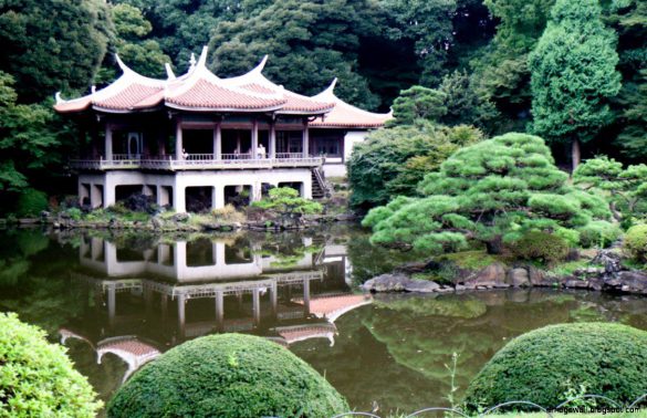 Shinjuku Gyoen – tapety na pulpit (4)
