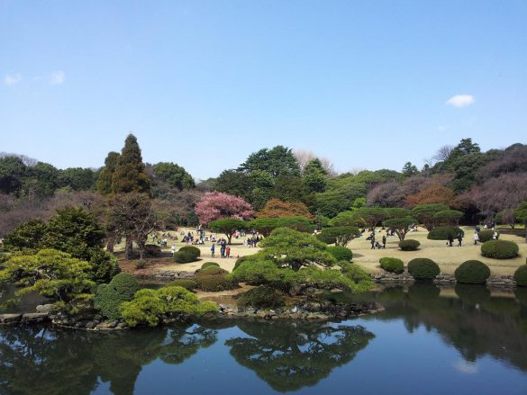 Shinjuku Gyoen – tapety na pulpit (6)