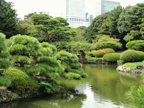 Shinjuku Gyoen – tapety na pulpit (9)