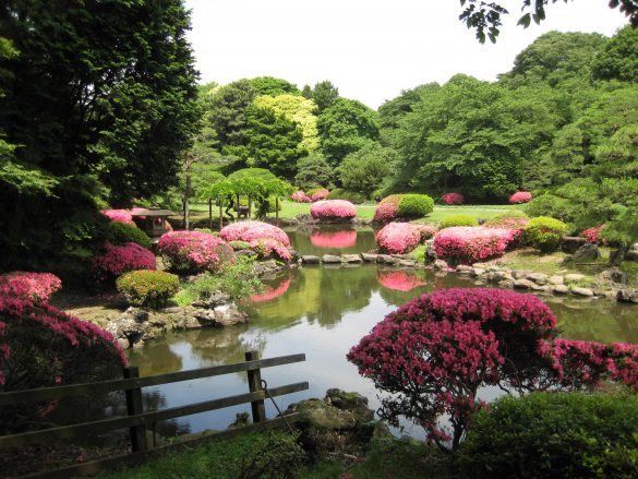 Shinjuku Gyoen – tapety na smartfon i tablet (11)