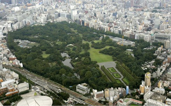 Shinjuku Gyoen – tapety na smartfon i tablet (2)