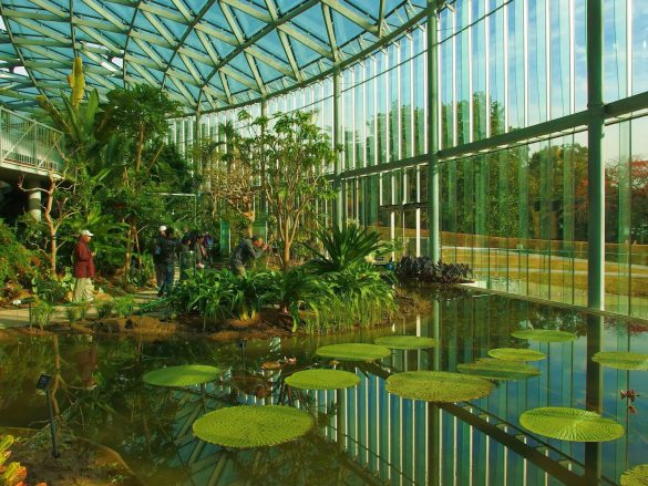 Shinjuku Gyoen – tapety na smartfon i tablet (4)