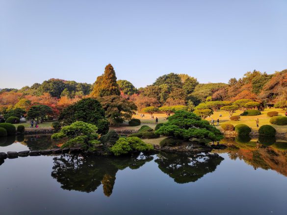 Shinjuku Gyoen – tapety na smartfon i tablet (6)