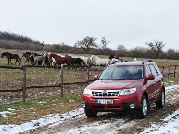 Subaru Forester – tapety na smartfon i tablet (8)