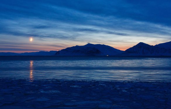 Svalbard – tapety na smartfon i tablet (6)