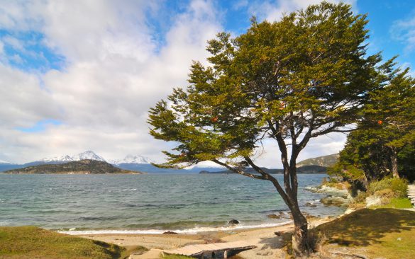 Tierra Del Fuego – tapety na pulpit (6)